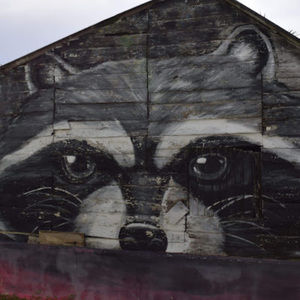 Meet your Posher, Jeff